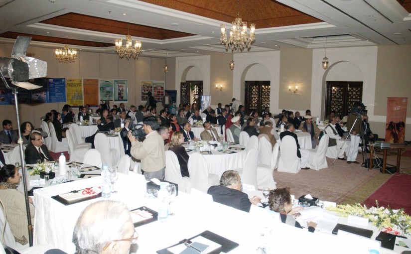 Health Communication Capacity Collaborative (HC3) Capacity Assessment